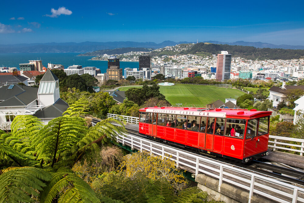massage wellington